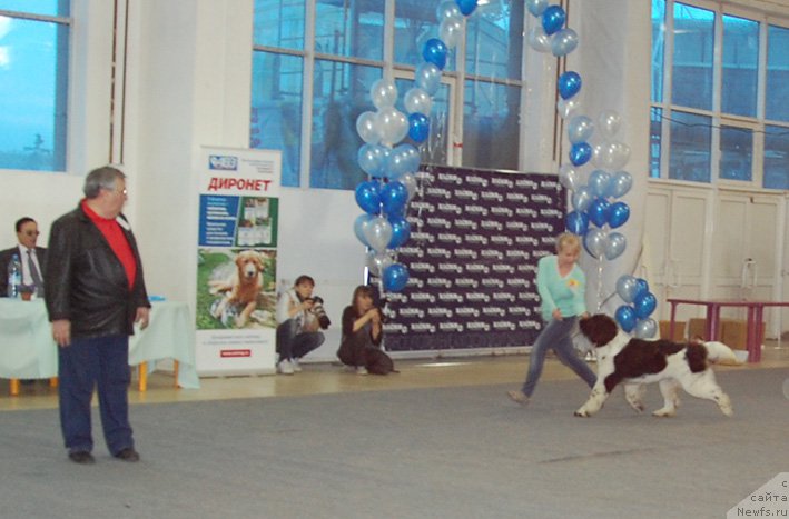 Фотография № 175521