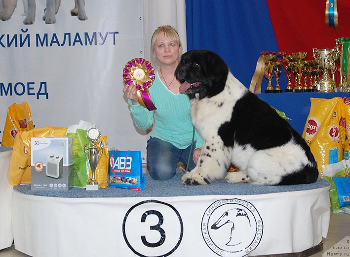 Фотография № 175522