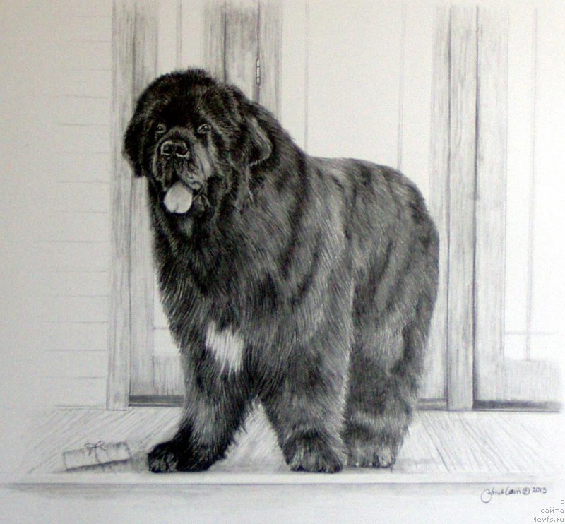 Фотография № 175529