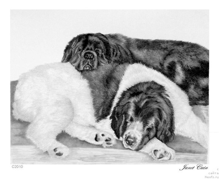 Фотография № 175532