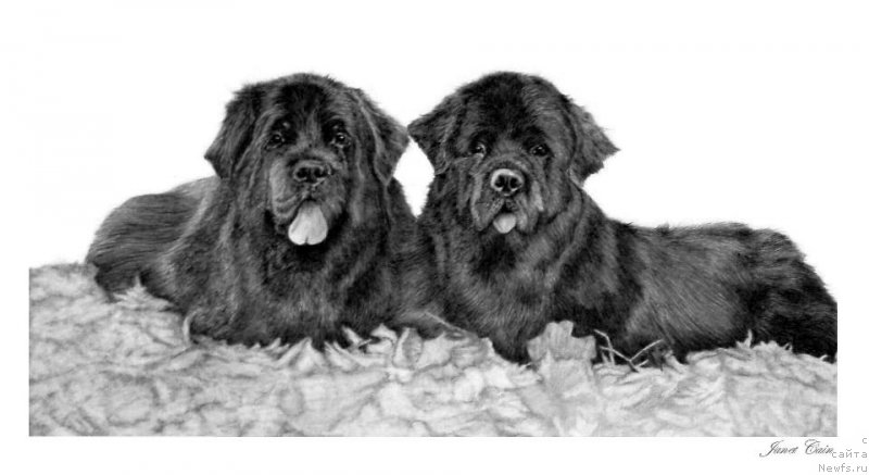 Фотография № 175534