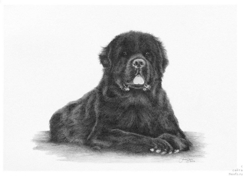 Фотография № 175536