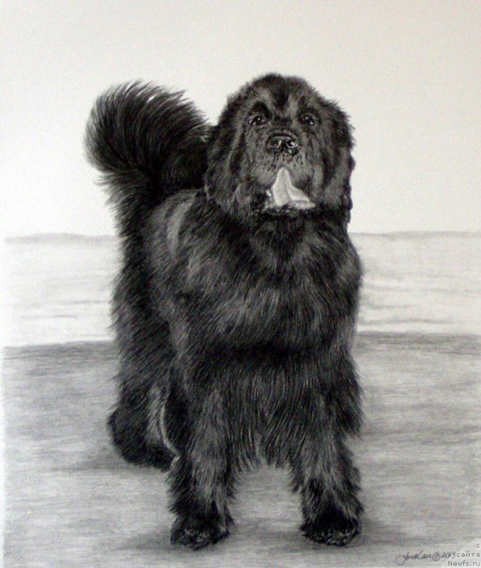 Фотография № 175537