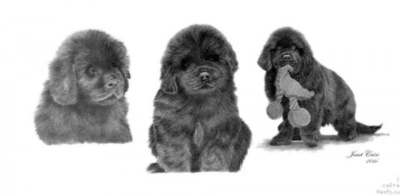 Фотография № 175538