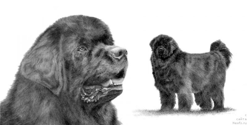 Фотография № 175539