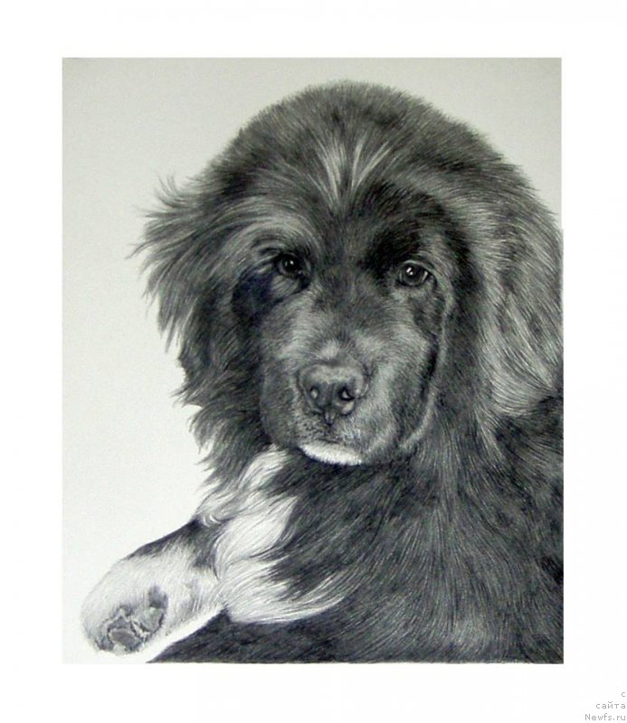 Фотография № 175541