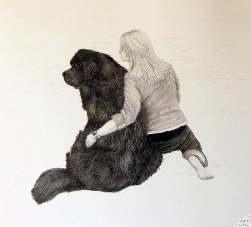 Фотография № 175544