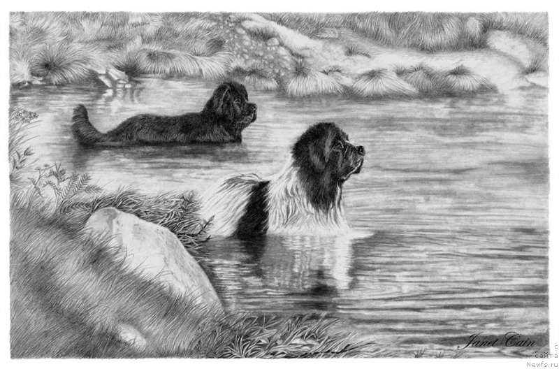 Фотография № 175548