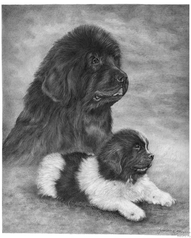 Фотография № 175549