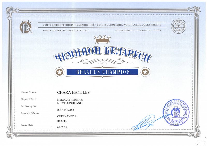 Фото: ньюфаундленд Chara Hani Les (Чара Хани Лес)