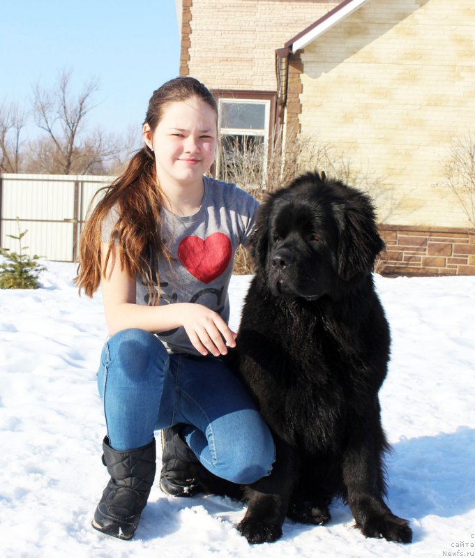 Фотография № 175564