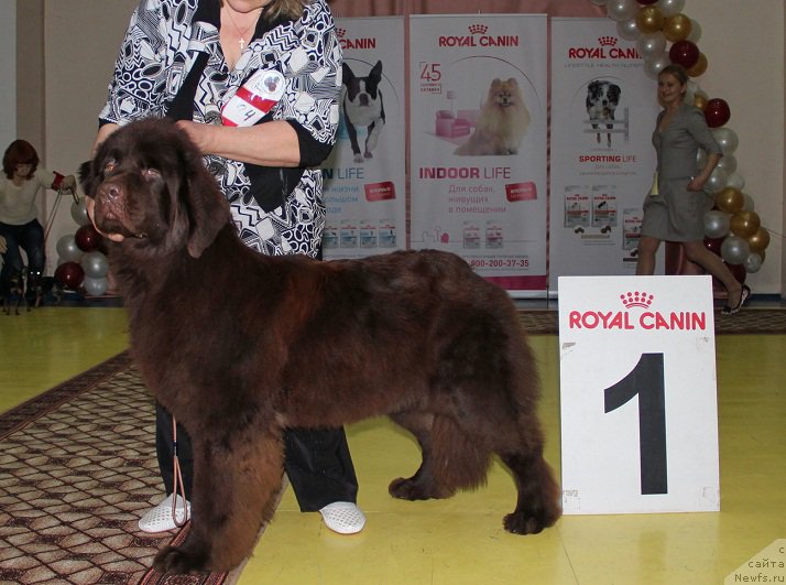 Фотография № 175569