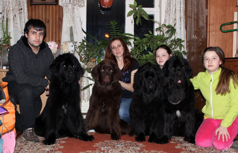 Фото: Vladimir Hachatryan (Владимир Хачатрян), ньюфаундленд Brownblood MSK Helfi Best Armani (Браунблад МСК Хелфи Бэст Армани), ньюфаундленд Brownblood MSK Hrica Hacket Ollen (Браунблад МСК Хриса Хаккет Оллен), Elena Spiryukova (Елена Спирюкова), ньюфаундленд Brownblood MSK Harricane Higgins (Браунблад МСК Харрикейн Хиггенс), Mariya SHmeleva (Мария Шмелева), ньюфаундленд Mercedes Vialiki Miadzvedz (Мерседес Вялiкi Мядзведзь)