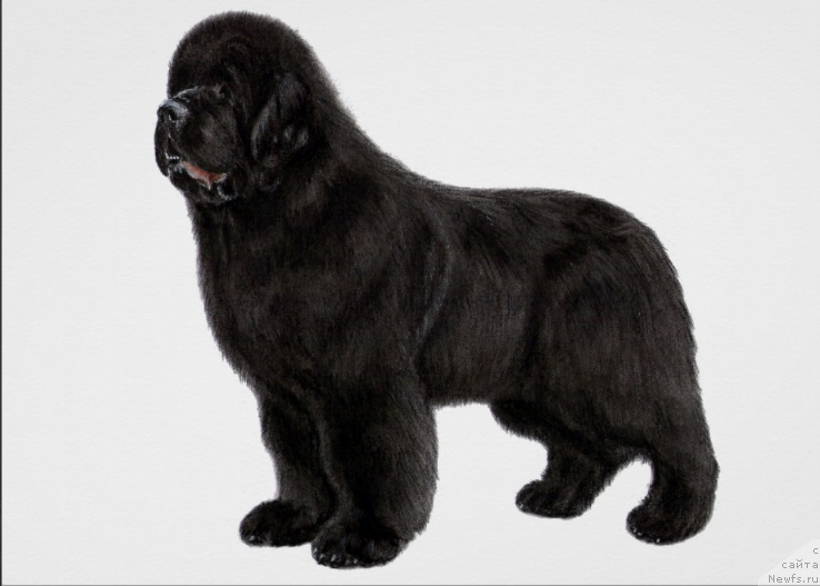 Фотография № 175596