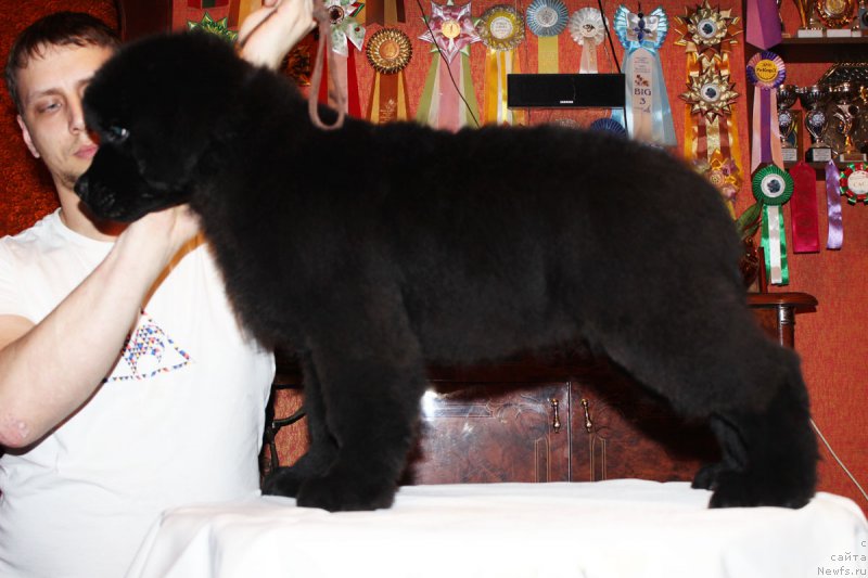 Фотография № 175642