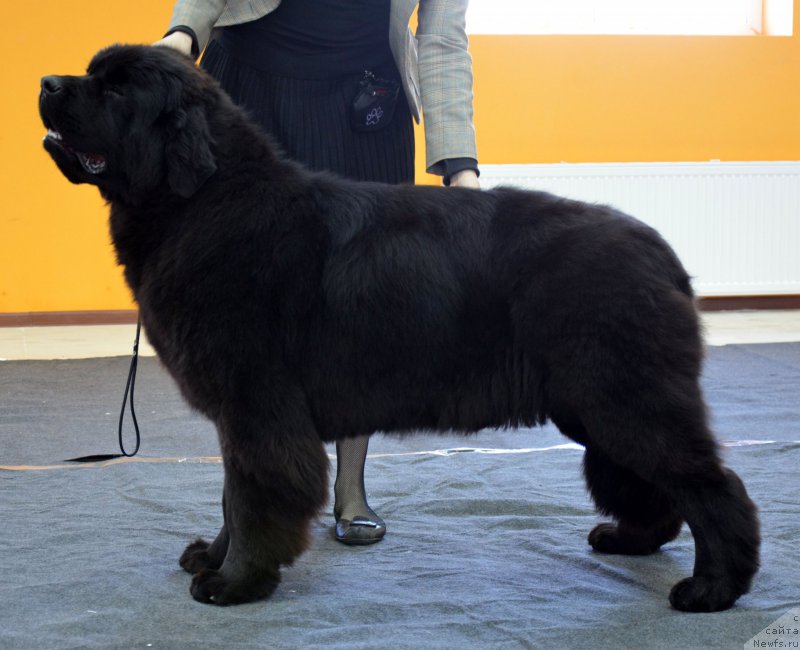 Фотография № 175645