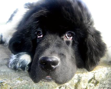 Фотография № 17565