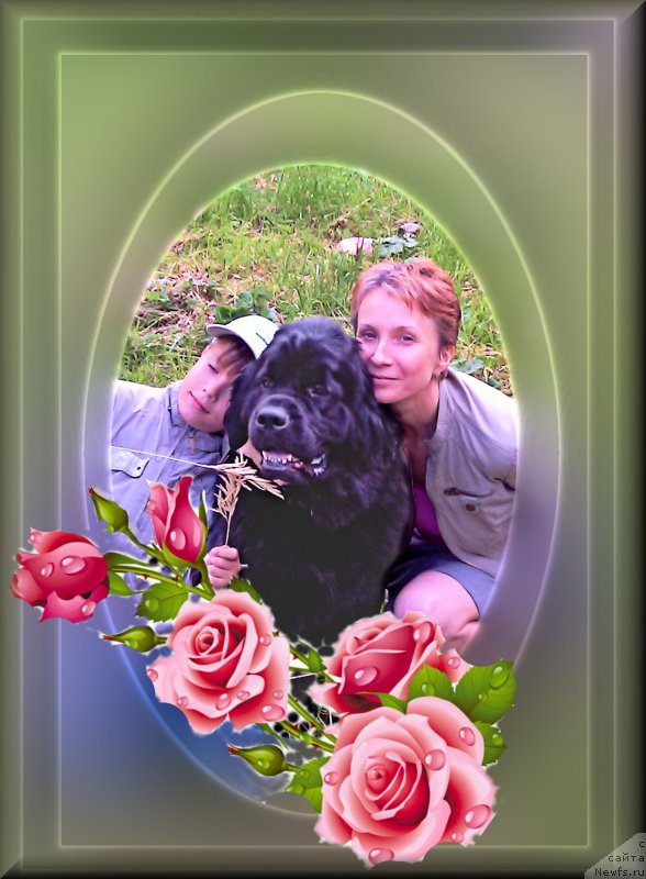 Фотография № 175660