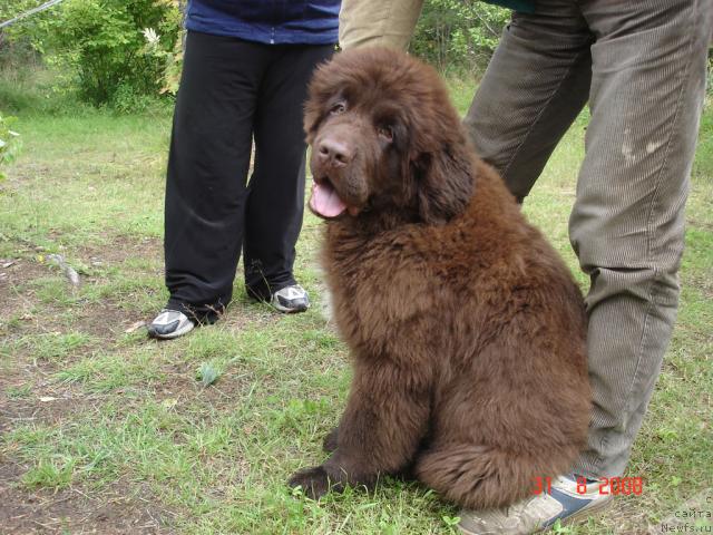 Фотография № 17569