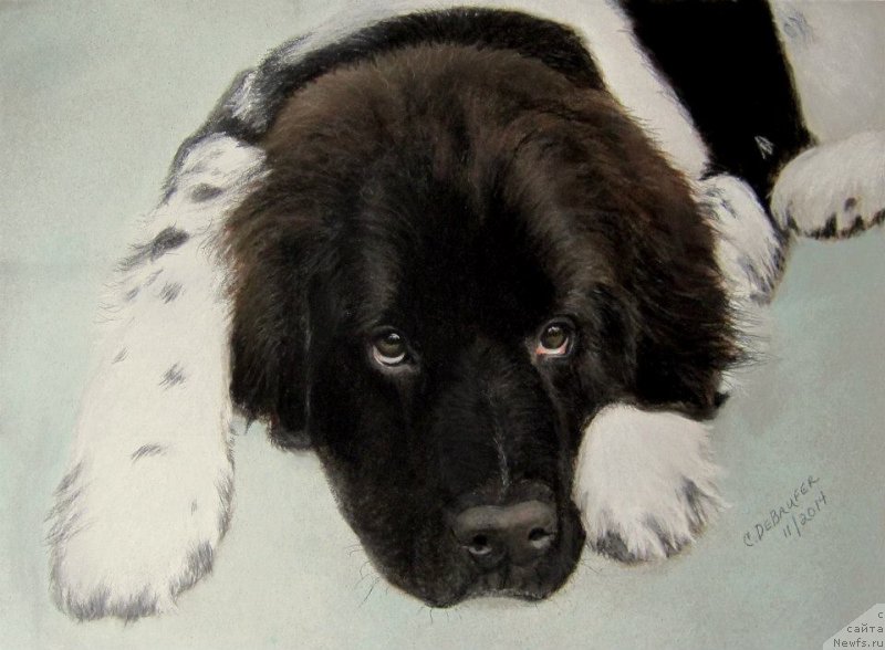 Фотография № 175696