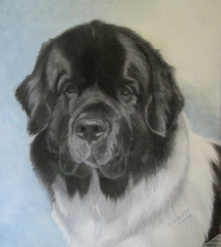 Фотография № 175697