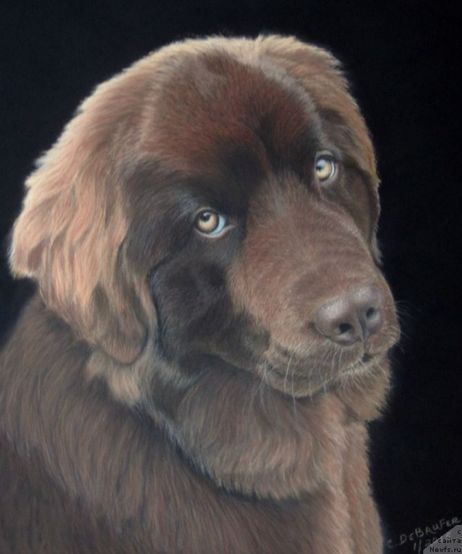 Фотография № 175699