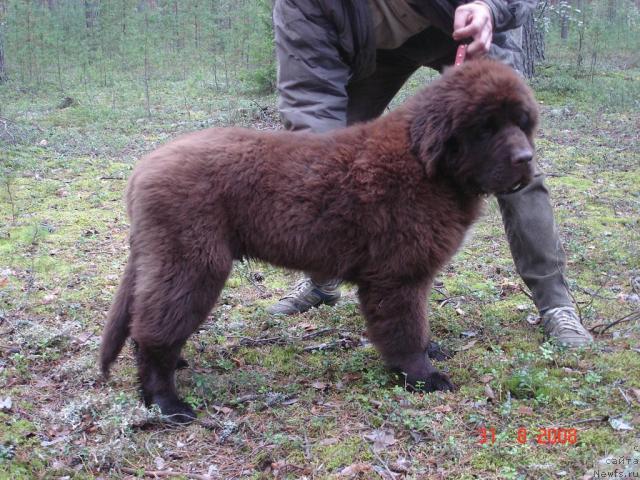 Фотография № 17570