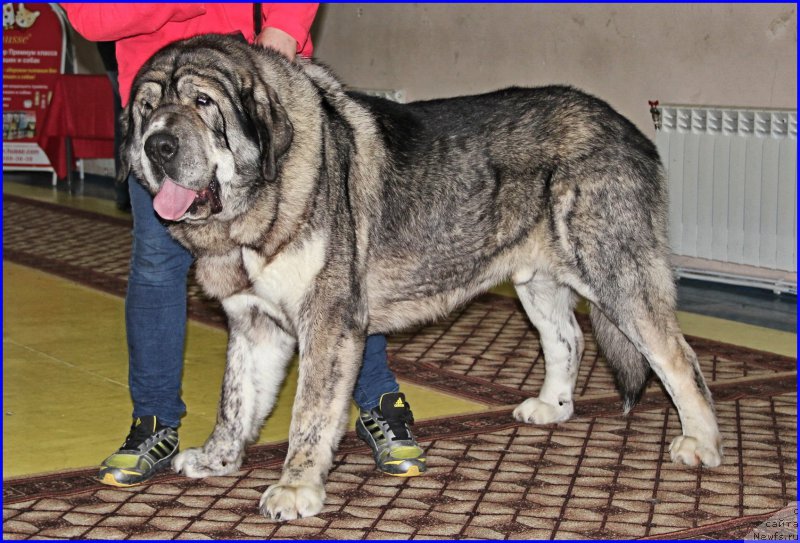 Фотография № 175703