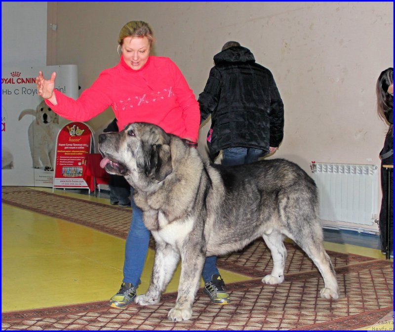 Фотография № 175704