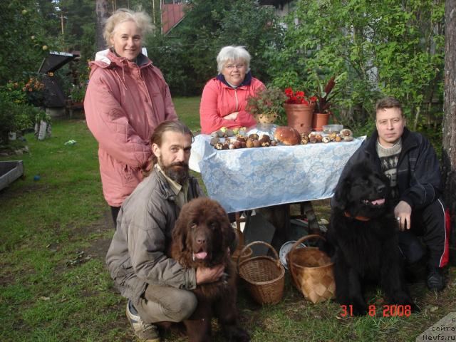 Фотография № 17571