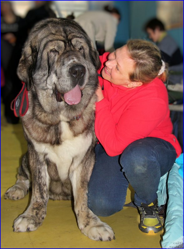 Фотография № 175713