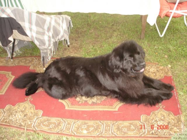 Фотография № 17572