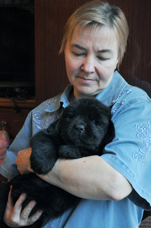 Фотография № 175740