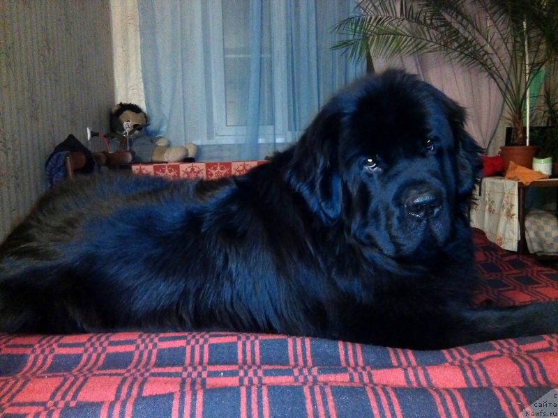 Фотография № 175751