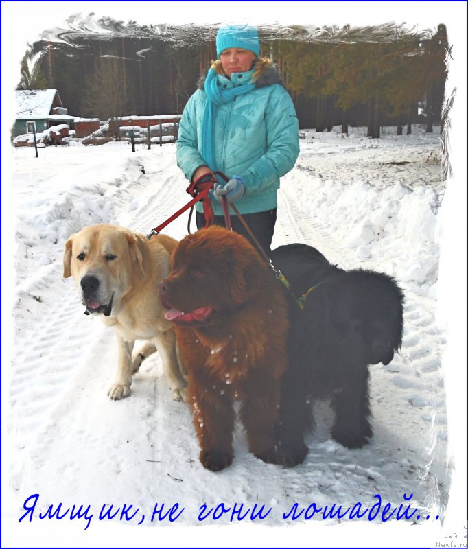 Фотография № 175752