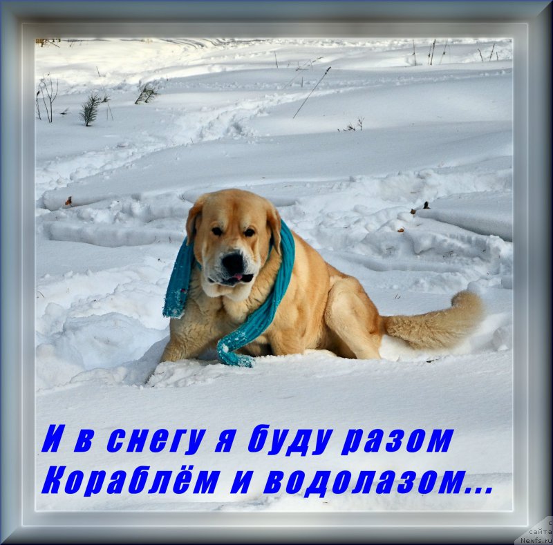 Фотография № 175753