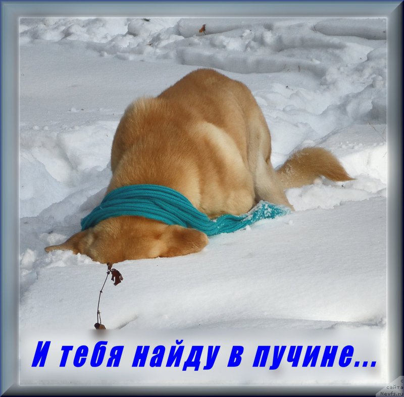 Фотография № 175754