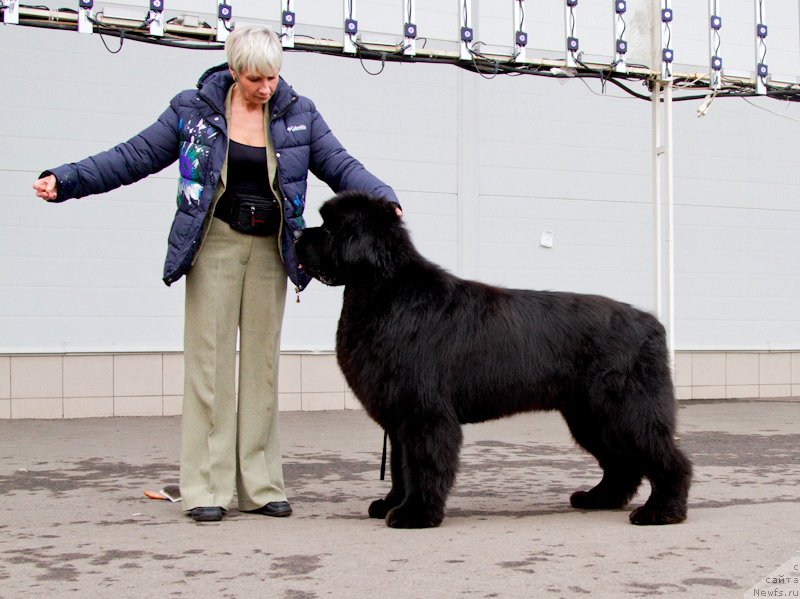 Фотография № 175795