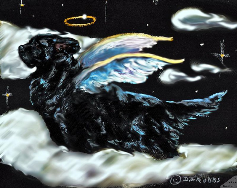 Фотография № 175802