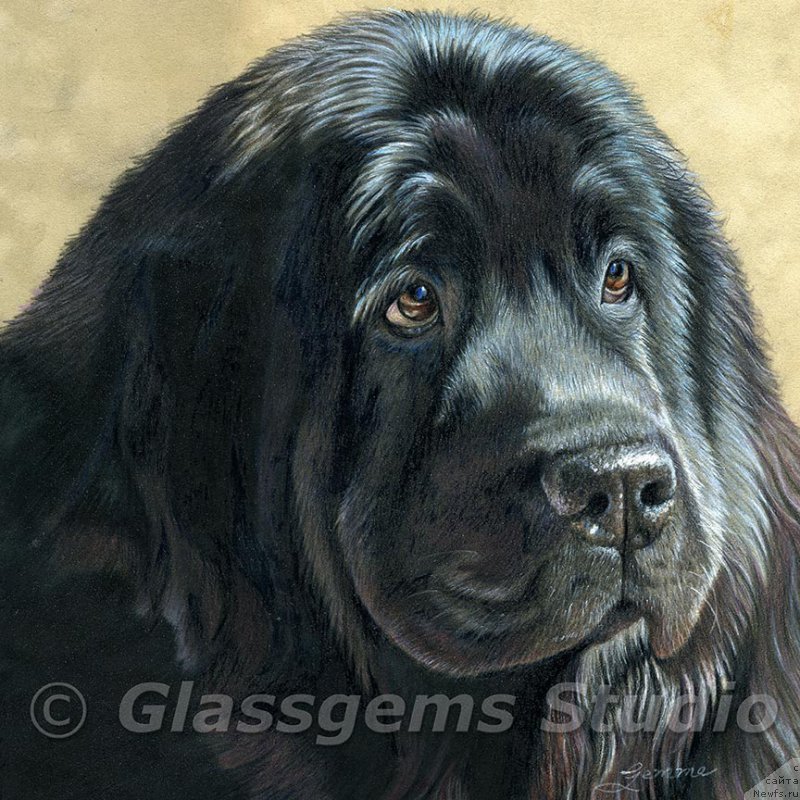 Фотография № 175803