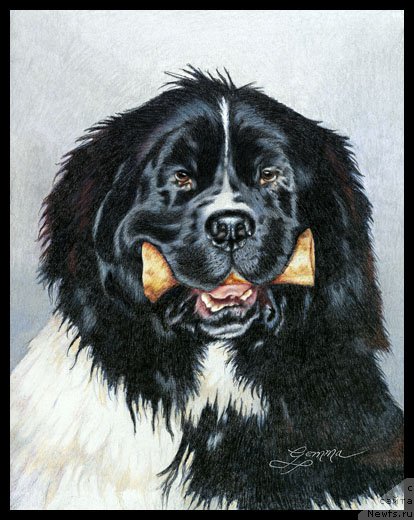 Фотография № 175804