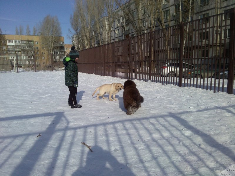 Фотография № 175806