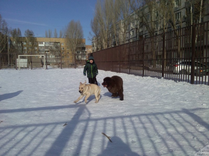 Фотография № 175808