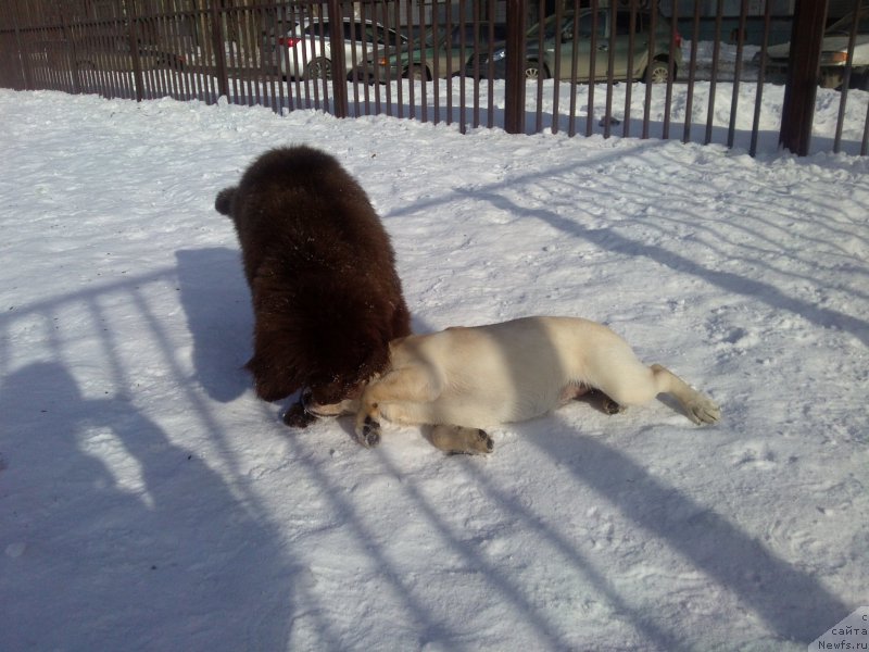 Фотография № 175811