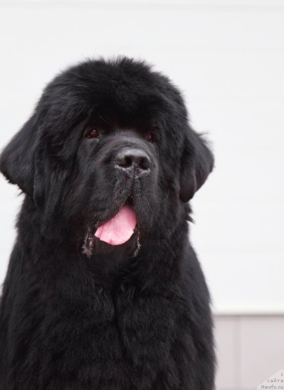 Фотография № 175812