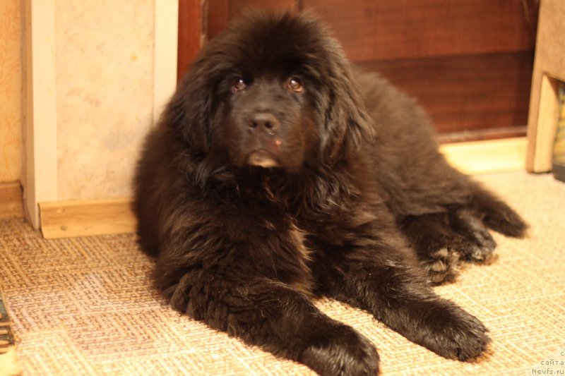 Фотография № 175815