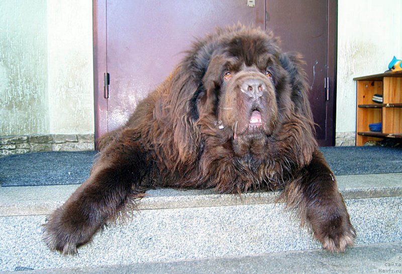 Фотография № 175823