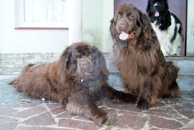 Фотография № 175824