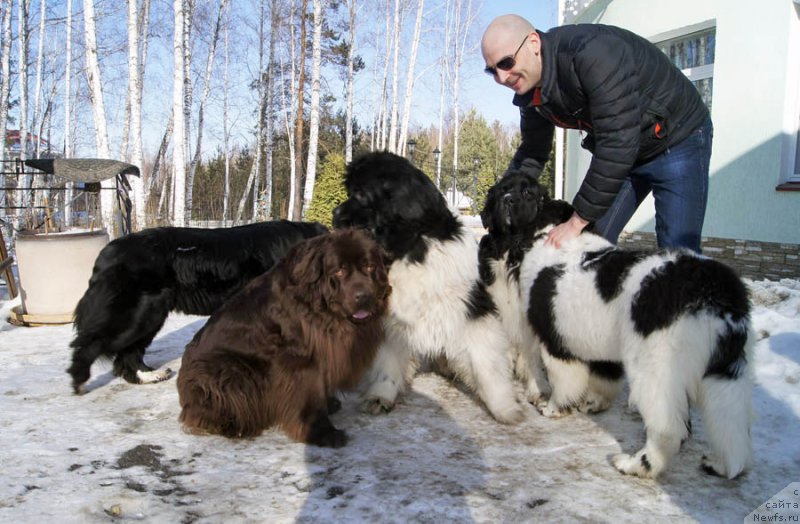 Фотография № 175825