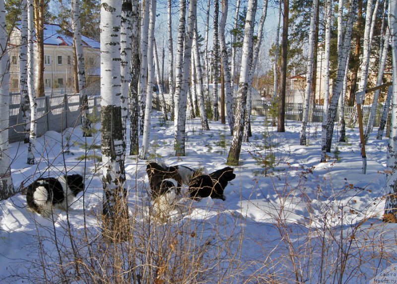 Фотография № 175826